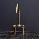 Unlacquered brass bridge faucet curved legs – close-up of leg and handle detail