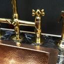 Unlacquered brass bridge faucet with side sprayer – matching sprayer detail